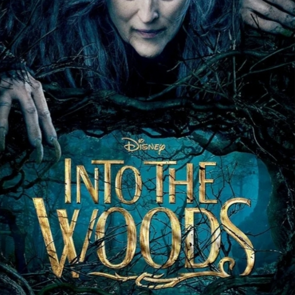 Disney Into The Woods DVD
